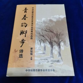 青春的脚步（诗选） 中华知青作家学会本溪分会优秀作品选