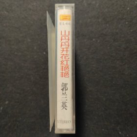 老磁带:郭兰英 山丹丹开花红艳艳(无歌词)