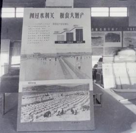 1965底片一张，省农展馆《闯过水利关、粮食大增产》