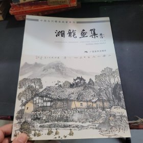 中国当代精英画家系列 湘龙画集