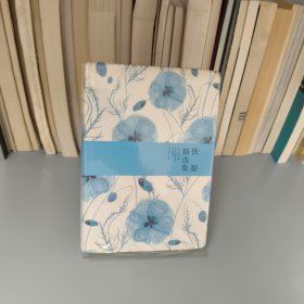 铁凝精选集