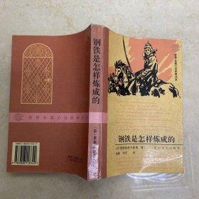 钢铁是怎样炼成的