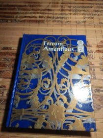 ferrum amantibus 爱铁