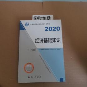 经济师中级2020 经济基础知识（中级）2020 中国人事出版社