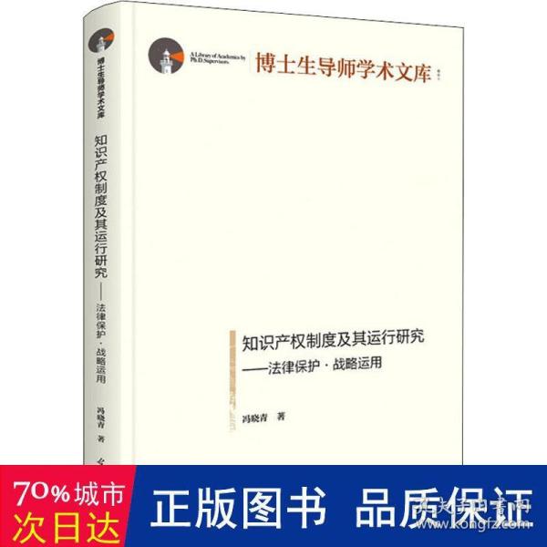 知识产权制度及其运行研究：法律保护·战略运用