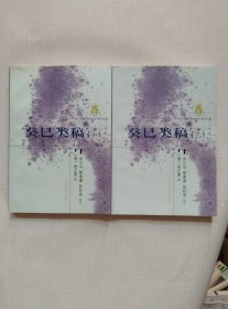 癸巳类稿（全二册）
