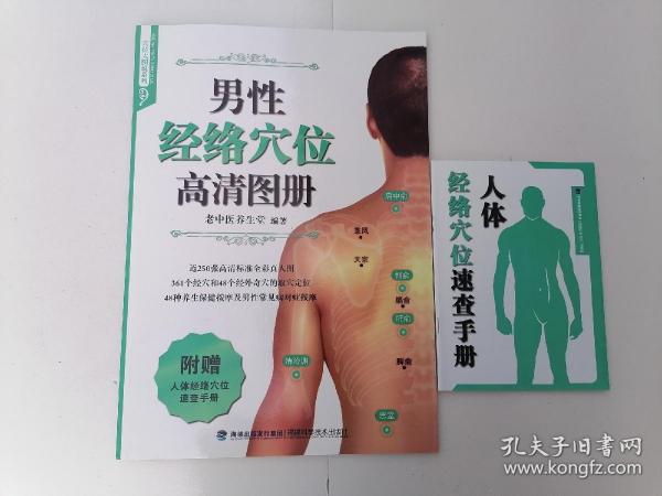 男性经络穴位高清图册