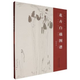 中国画素材库——花卉白描图谱 余兴亮| 9787574503304 安徽美术