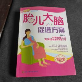 胎兒大腦促進(jìn)方案