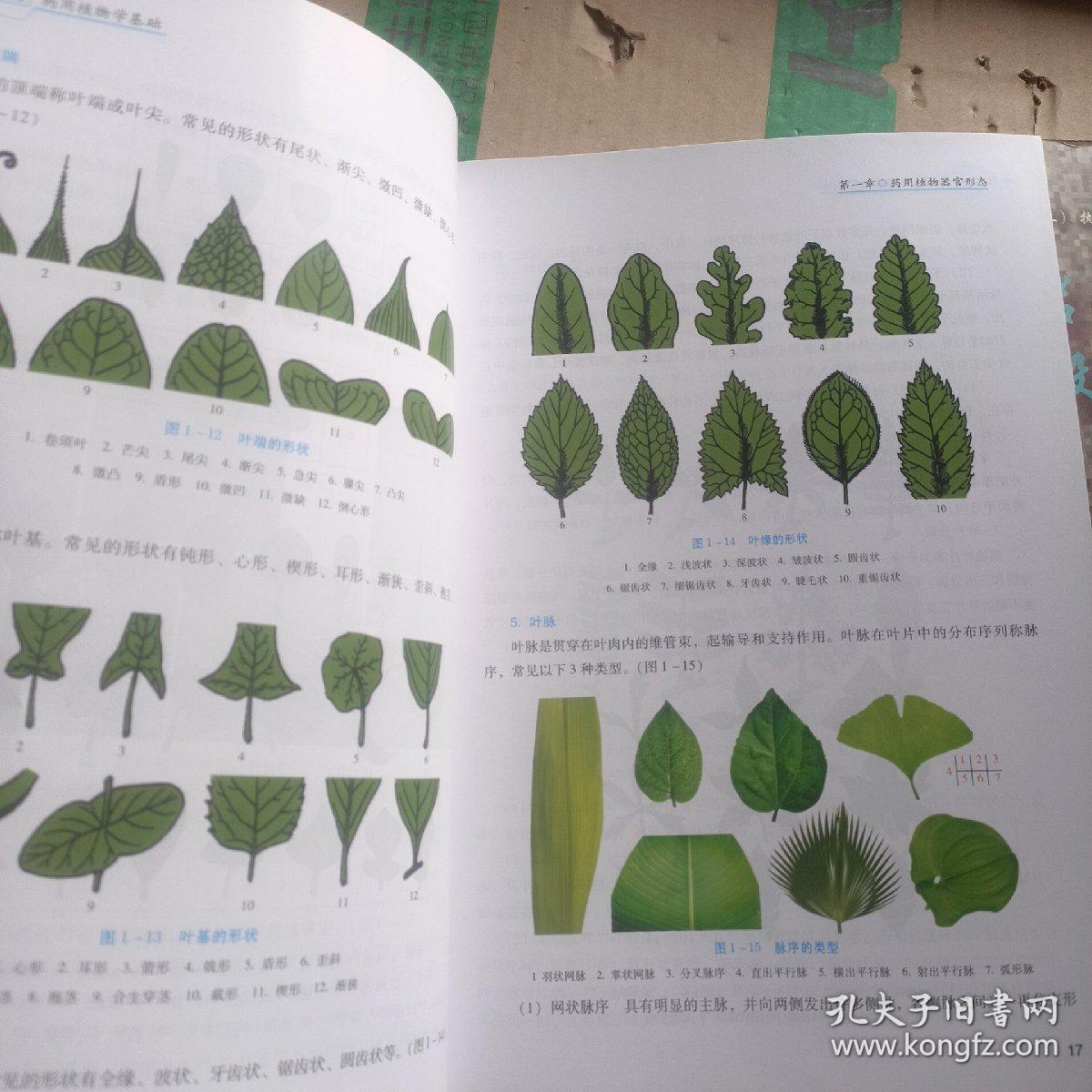 药用植物学基础（供中药、中药制药等专业用第2版）