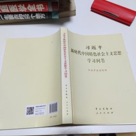 习近平新时代中国特色社会主义思想学习问答大字版