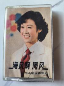 苏小明，海风啊海风，无歌词