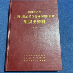 中国共产党广西壮族自治区防城各族自治县组织史资料（1927～1993）