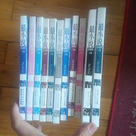 《最小说2007年11本合售（仅缺第10期）》 （郭敬明主编；长江文艺出版社2007年1版1印）（包邮）