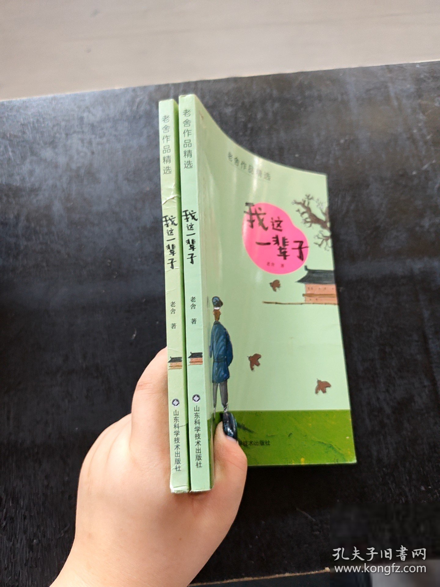 老舍儿童文学精选——我这一辈子 随机发