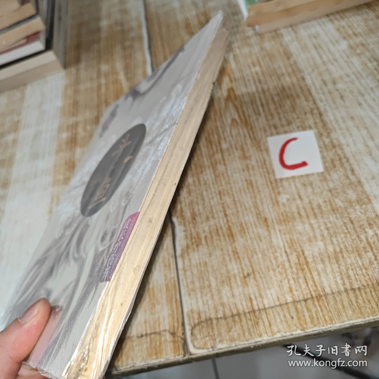 斗鱼：我不是坏女生【包邮】