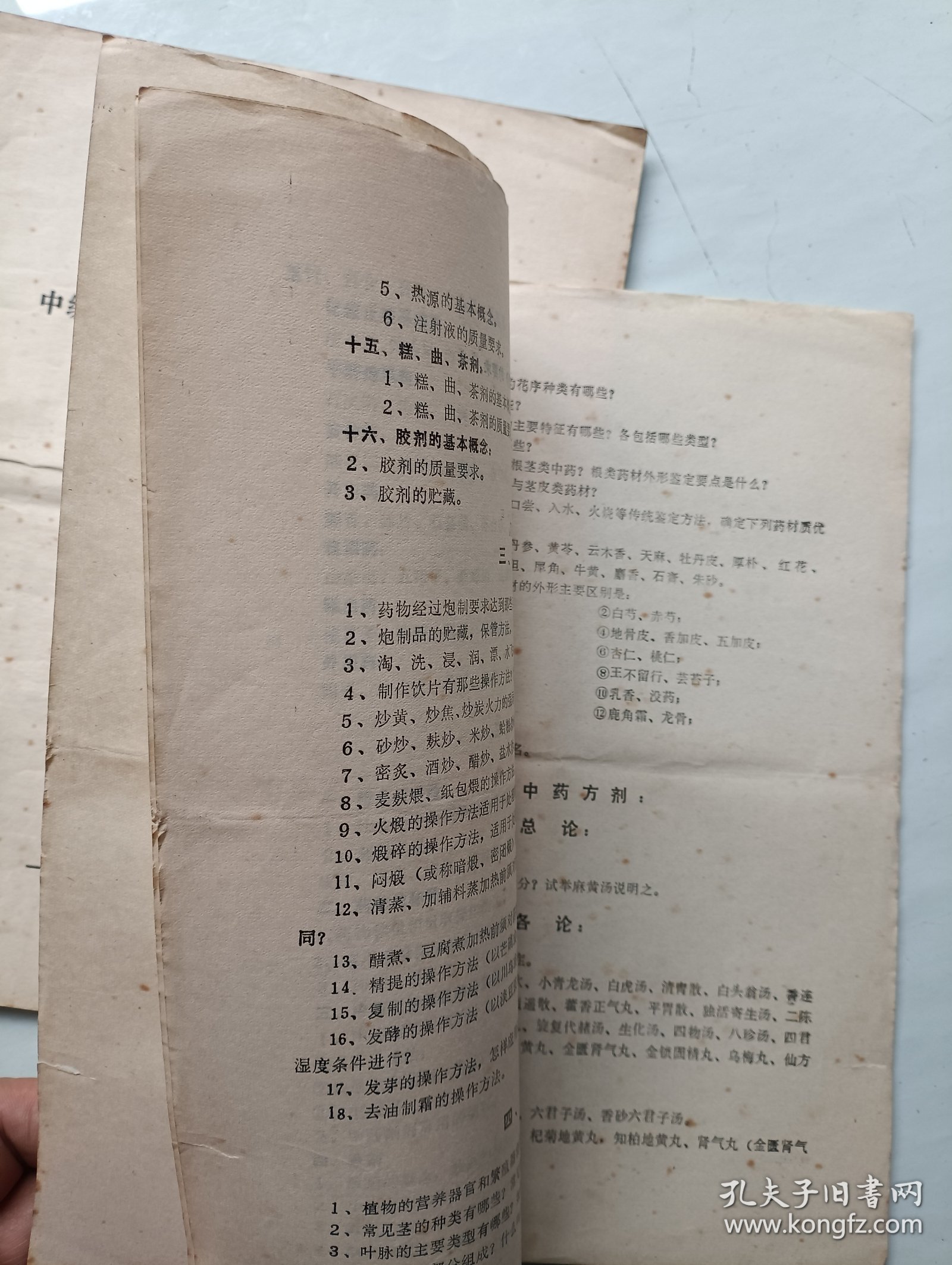 湖北省初、中级医药卫生技术人员晋升考试复习提纲 中药专业