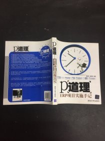 P道理：ERP项目实施手记