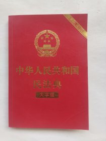 中华人民共和国民法典（大字版32开大字条旨红皮烫金）2020年6月新版