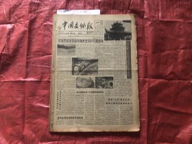 中国文物报 1994年合订本