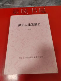 《星子工业发展史》（初稿），523页。第一部综述星子县工业发展的地方重要工业文献。星子县小史：五代吴杨溥大和年间于庐山之南立星子镇。因境内有石浮于水面如星故得其名。宋太平兴国元年升星子镇为星子县。1983年7月，九江地市合并，星子县属九江市。2016年5月，江西省调整九江市部分行政区划，撤销星子县，设立县级庐山市，将调整后的庐山蓼花镇更名为庐山市星子镇。