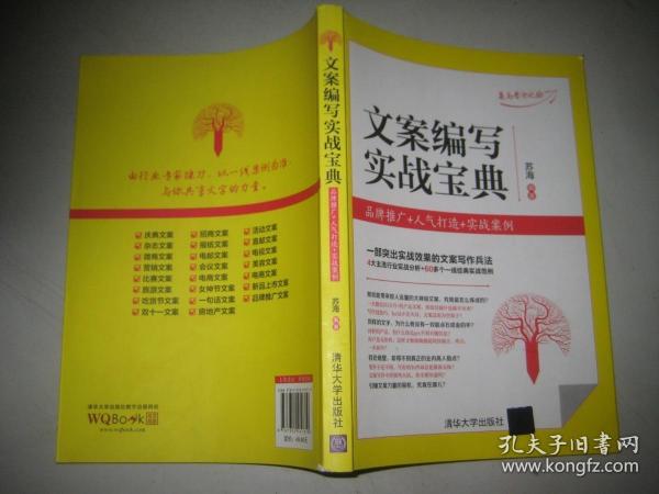 文案编写实战宝典：品牌推广+人气打造+实战案例  16开