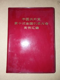 中国共产党第十次全国代表大会文件汇编