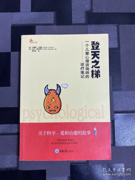 登天之梯：一个儿童心理咨询师的诊疗笔记