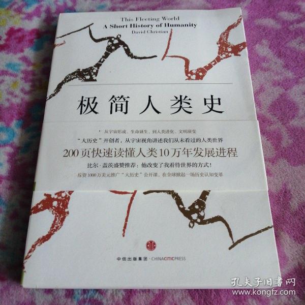 极简人类史：从宇宙大爆炸到21世纪