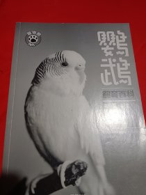 鹦鹉饲育小百科 彩色图版 铜版精印