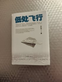 低处飞行
