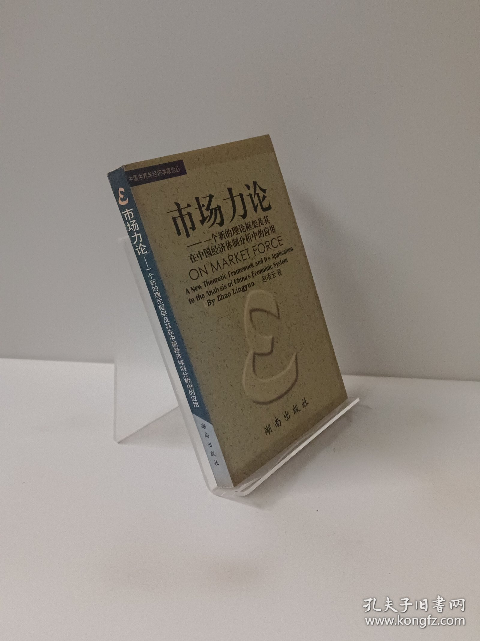 市场力论:一个新的理论框架及其在中国经济体制分析中的应用