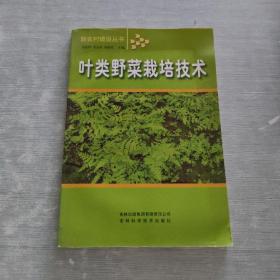 叶类野菜栽培技术