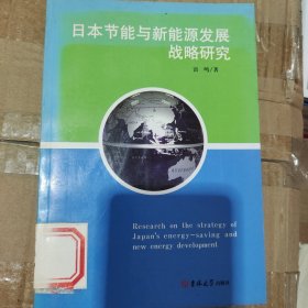 日本节能与新能源发展战略研究