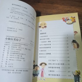 小仙女卖房子（中国当代获奖儿童文学作家书系）