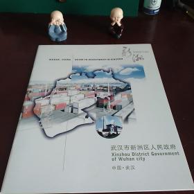 武汉市新洲区人民政府宣传册
