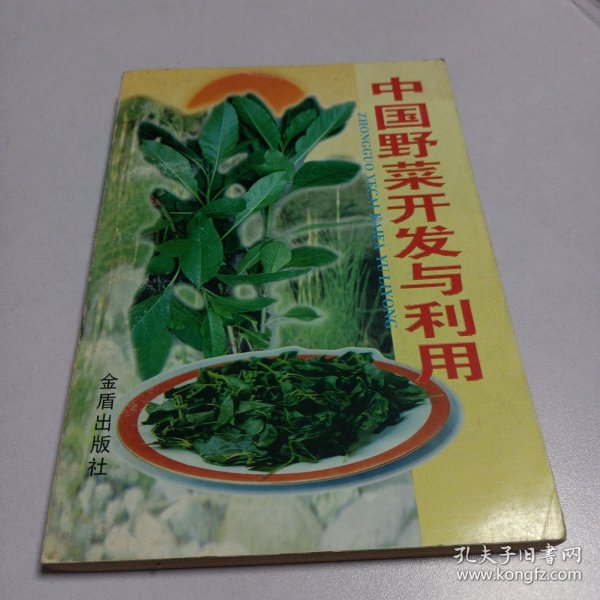 中国野菜开发与利用