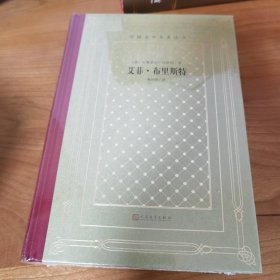 网格本·艾菲·布里斯特（外国文学名著丛书）