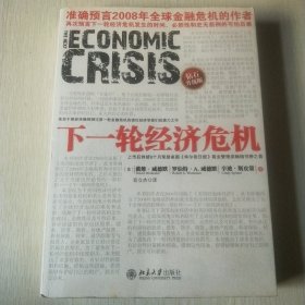 下一轮经济危机