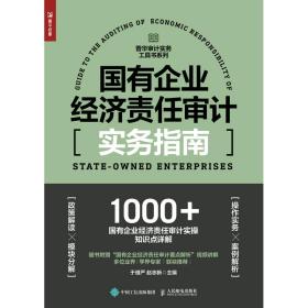 国有企业经济责任审计实务指南