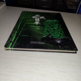 实战翡翠 4DⅤD