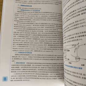 生物药剂学与药物动力学（第6版/本科药学）