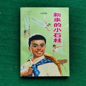 新来的小石柱（长篇章回小说）