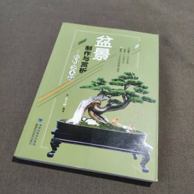 盆景制作与赏析（松柏·杂木篇）