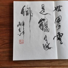 8开大本精品连环画名家毛笔书法册页：《海上名家书法集》 (册页长35厘米，宽25厘米)