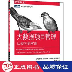 大数据项目管理从规划到实现