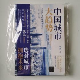 中国城市大趋势：未来10年的超级新格局