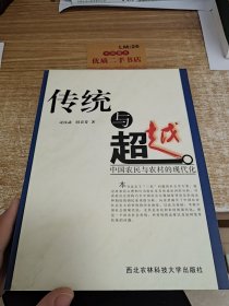 传统与超越：中国农民与农村的现代化