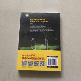 故事生灵：贾平凹的生命故事，寻回你我内心流失的珍贵