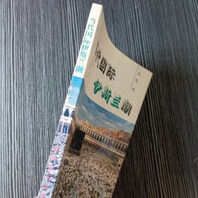 当代国际伊斯兰潮